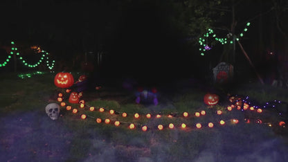 GOOSH Halloween Inflatables Outdoor Decorations, 9 FT Width Spider Blow Up Yard Decoration with Built-in LED for Yard Garden Party Lawn